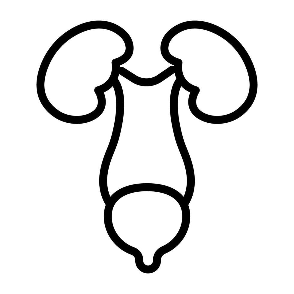 Urinary system icon in modern style vector