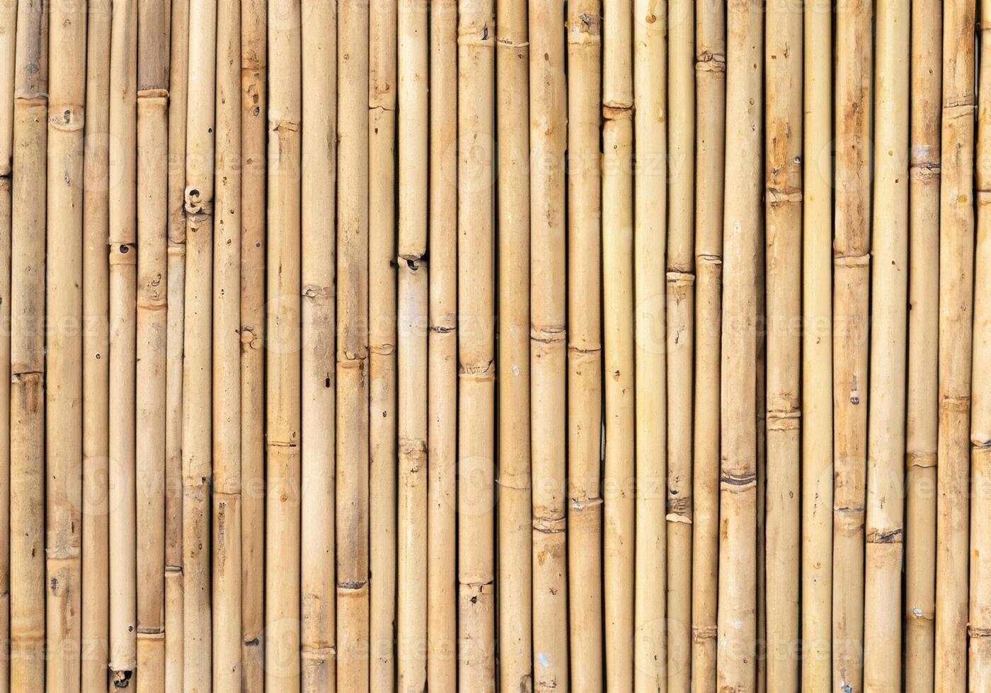 fence made of bamboo sticks photo