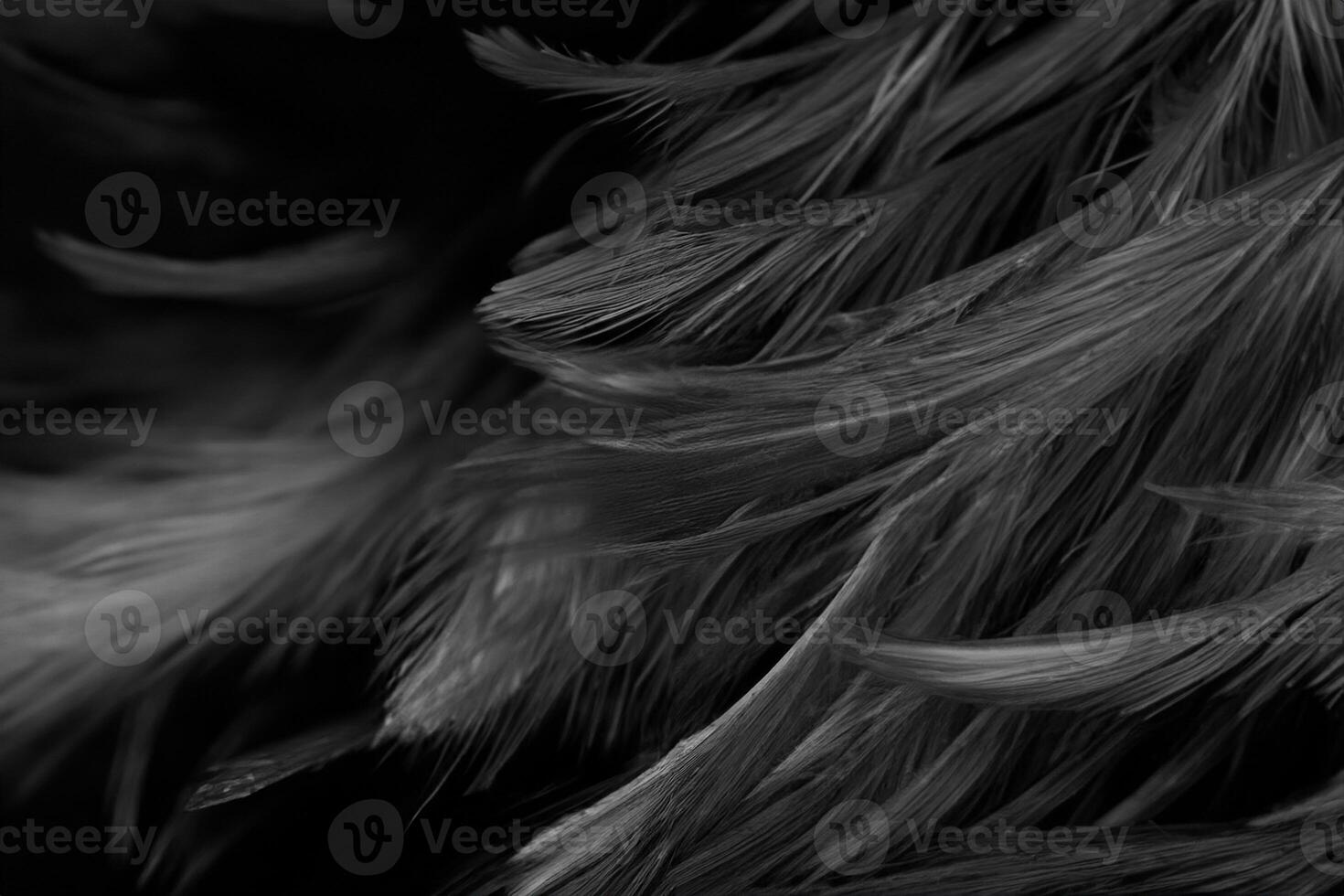 Beautiful dark black feather pattern texture background photo