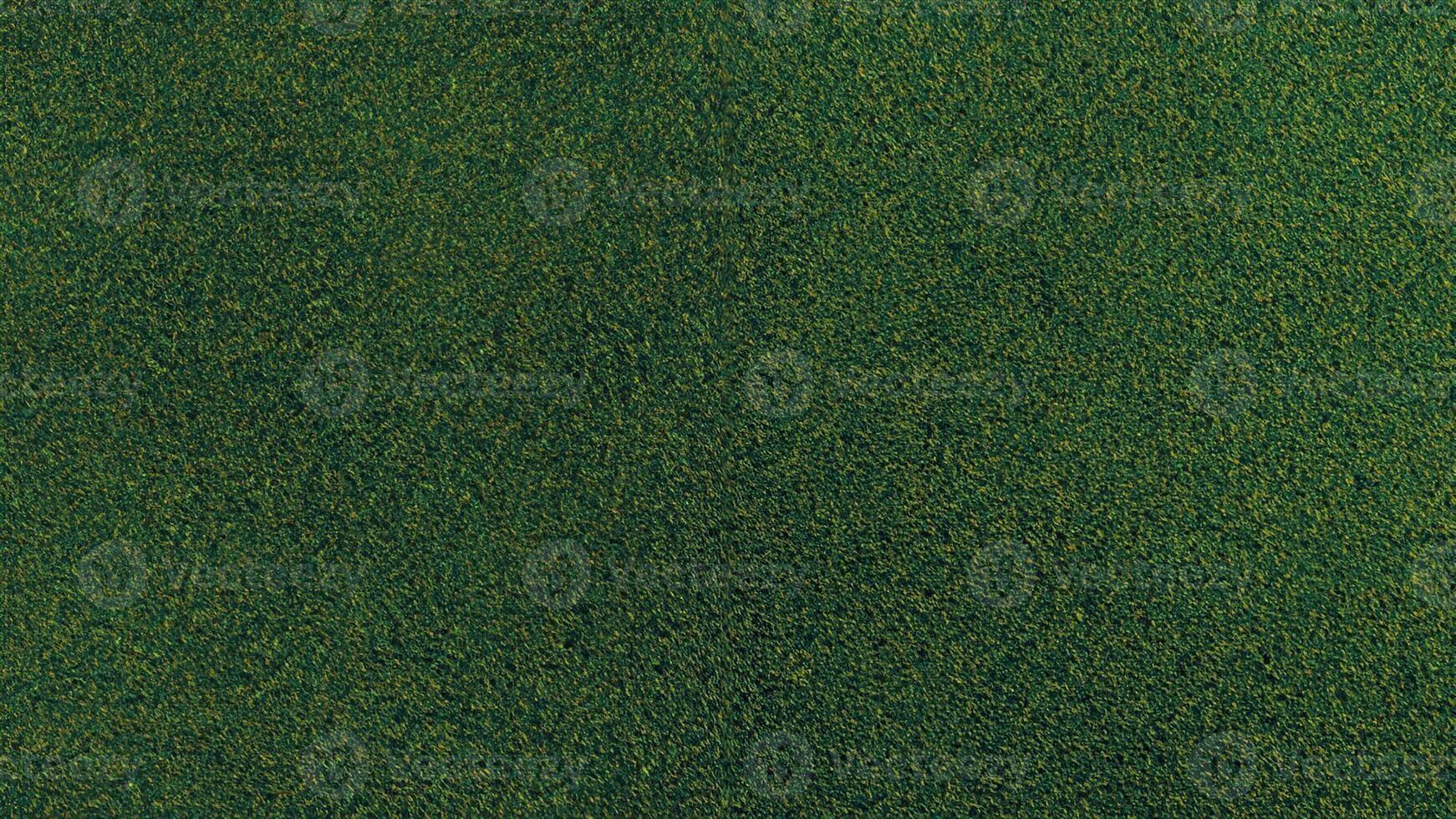 Top View Close Up, Green Field of Natural Grass Background photo