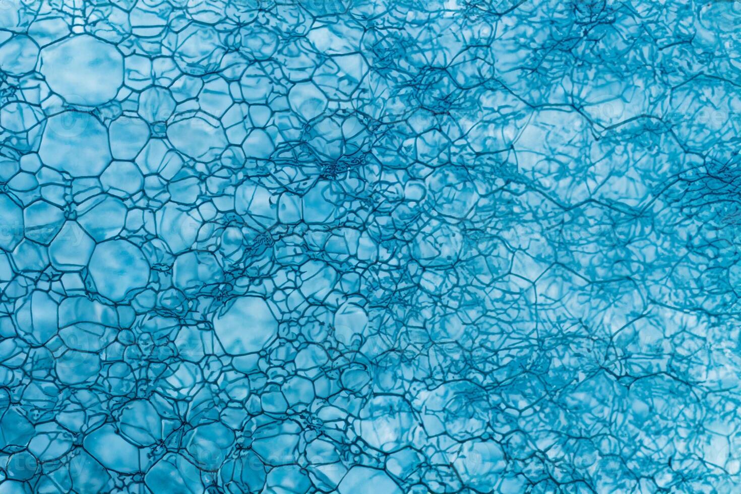 Blue Soap Bubbles, Abstract Macro Foam Background, Closeup Texture of Soap Foam photo