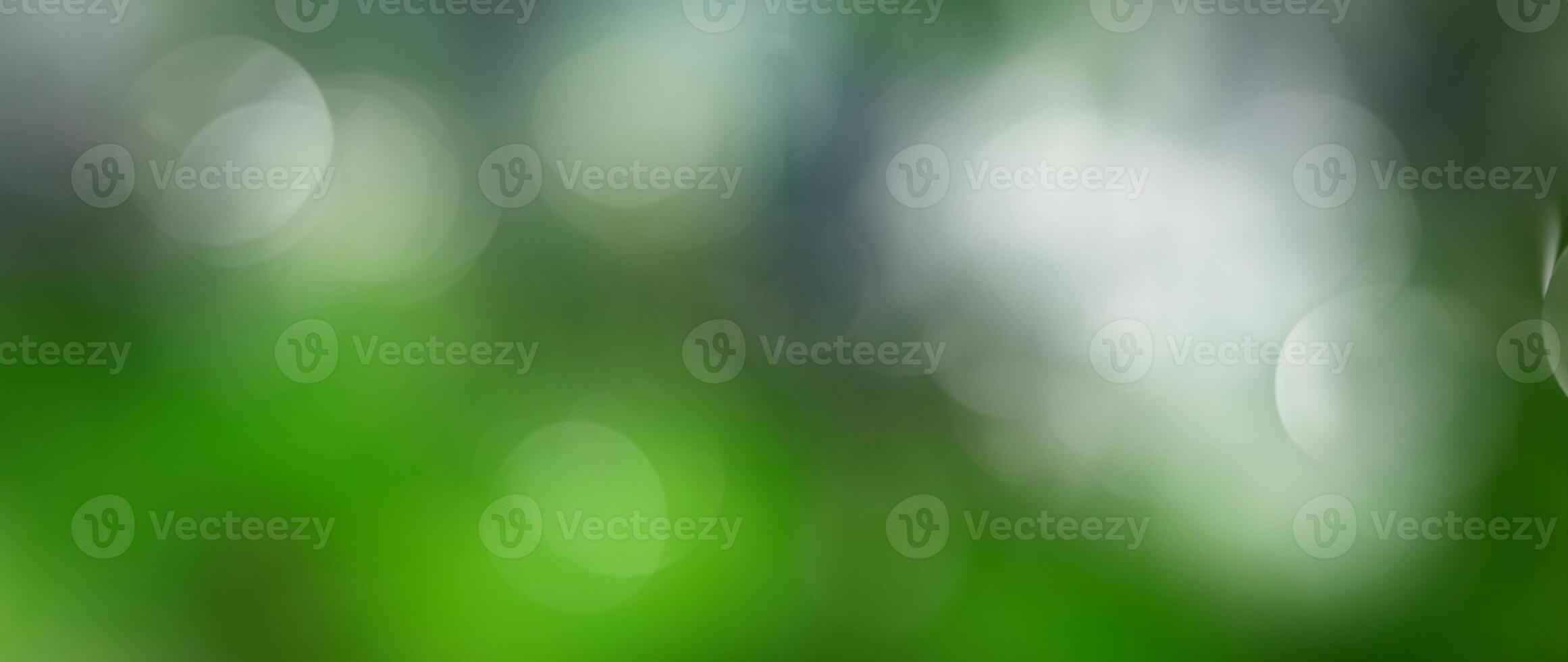 Abstract Bokeh Background, Defocused Elegance photo