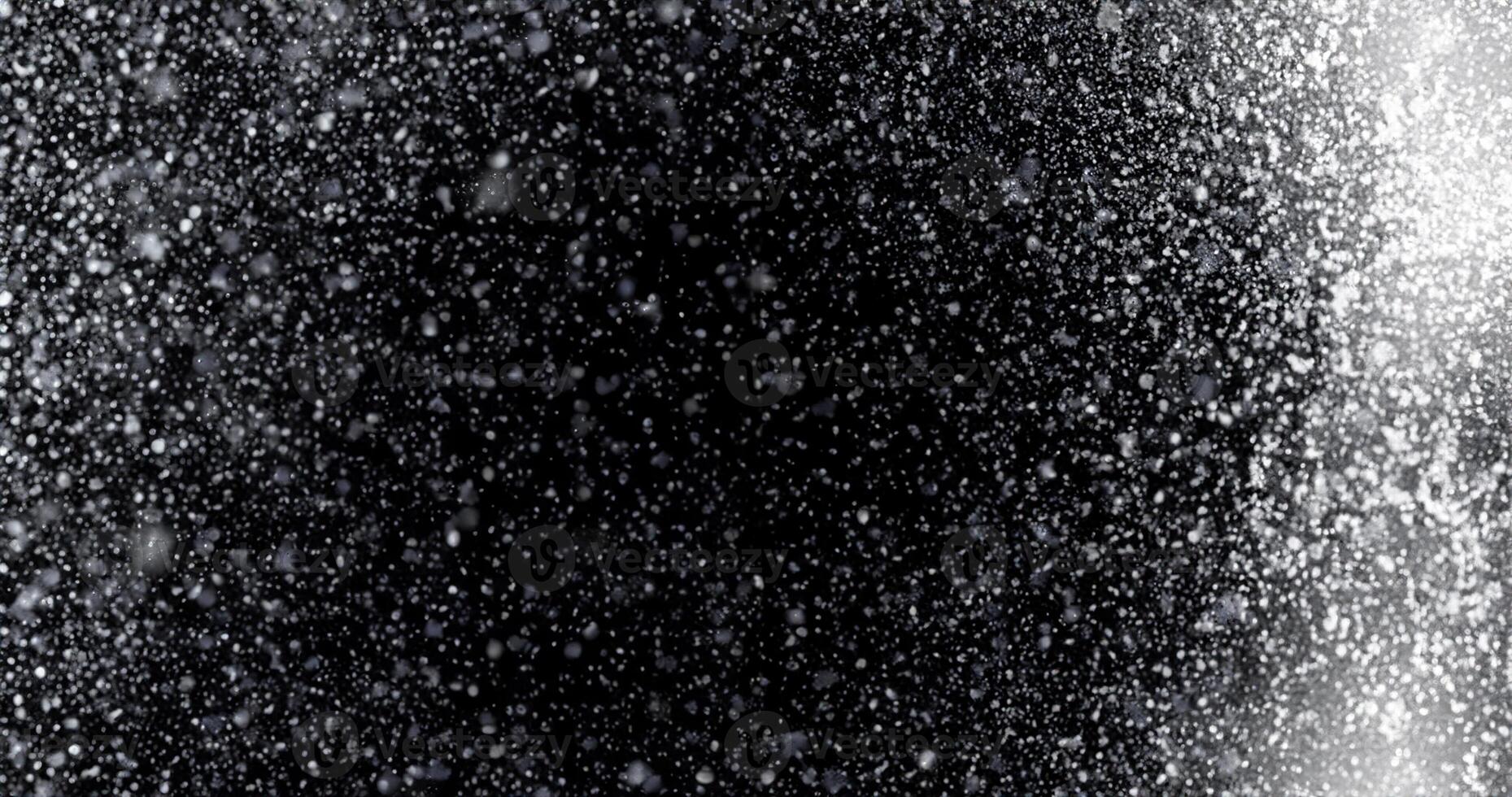 Contrast in Elegance, Fresh Blanket of Winter's Snowfall Against a Dark Canvas photo