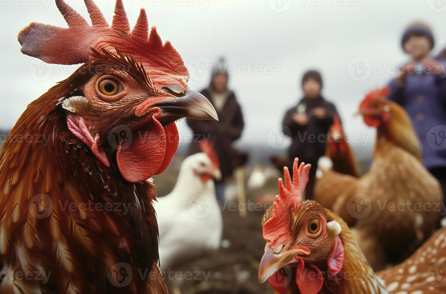 AI generated Close-up chicken looking in the camera with a group of people in a field. Generated by artificial intelligence. photo