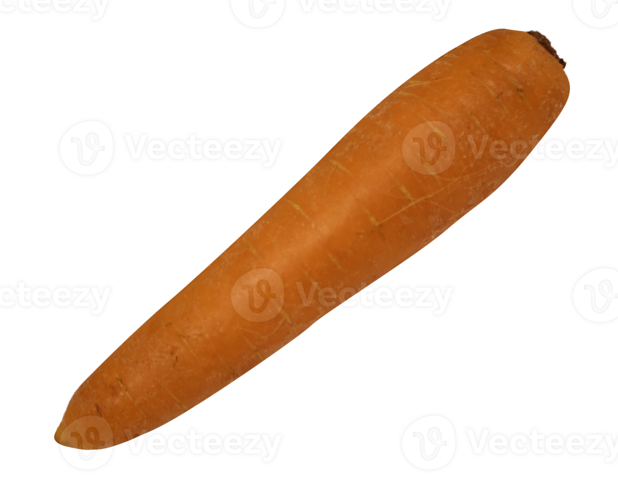 Carrot isolated on transparent background png