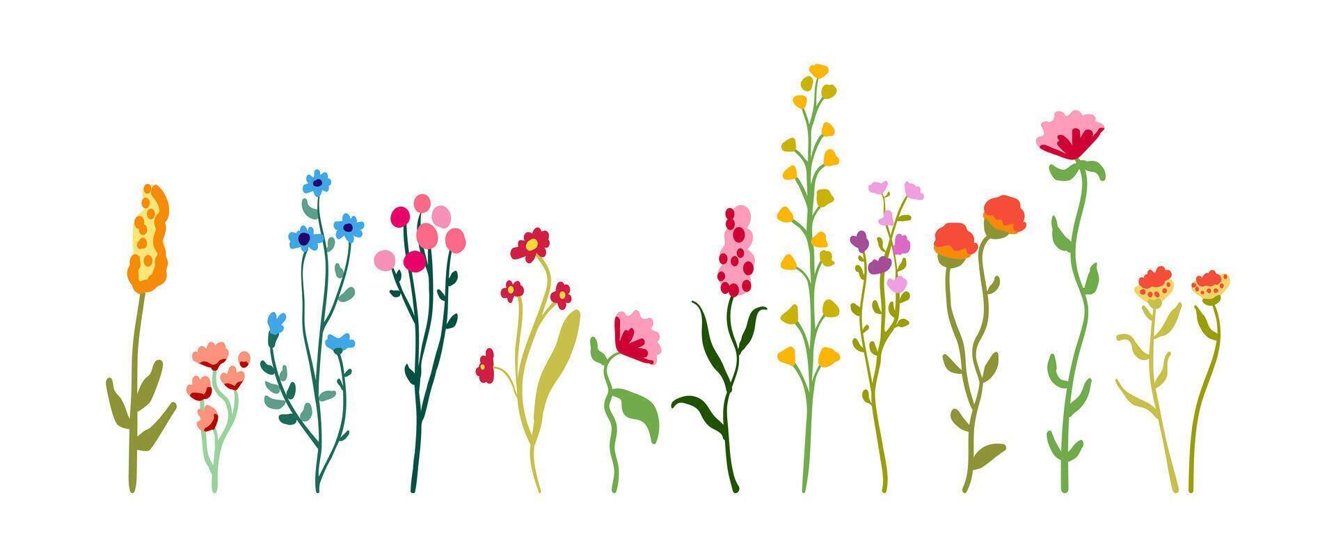 Summer set of delicate graceful wildflowers on tall stems with foliage. Minimalistic floral elements. Spring flowering plants isolated on white background. Flat vector