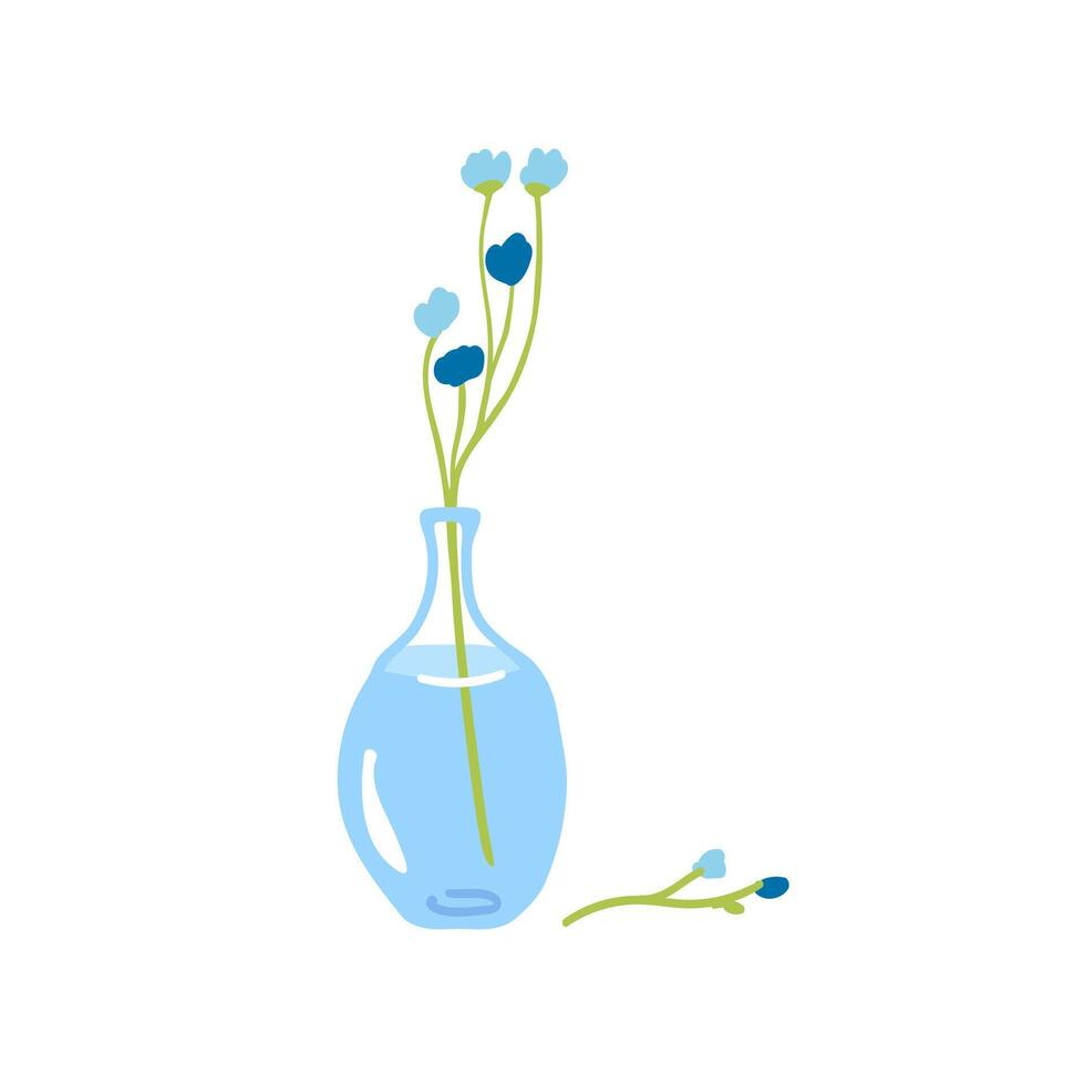 Fresh flower in glass vase. Fragile delicate stems in water. Cut floral plant. Gentle spring blooms, blossomed summer wildflower bouquet isolated vector illustration