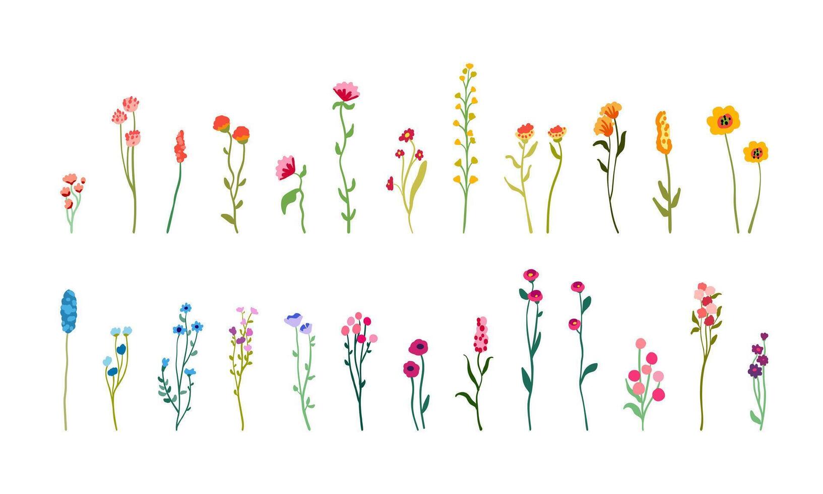 conjunto delicado flores y tallos. campo hierbas, primavera prado floral sucursales, sencillo florece plano vector ilustración aislado en blanco antecedentes