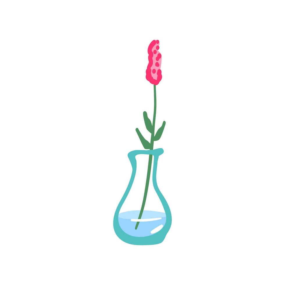 Fresh flower in glass vase. Fragile delicate stems in water. Cut floral plant. Gentle spring blooms, blossomed summer wildflower bouquet isolated vector illustration