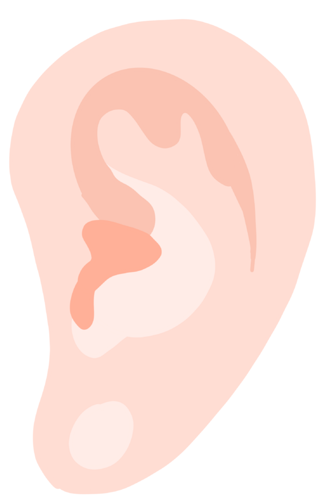ear pink color png