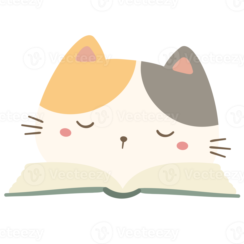 Cute witches cat png