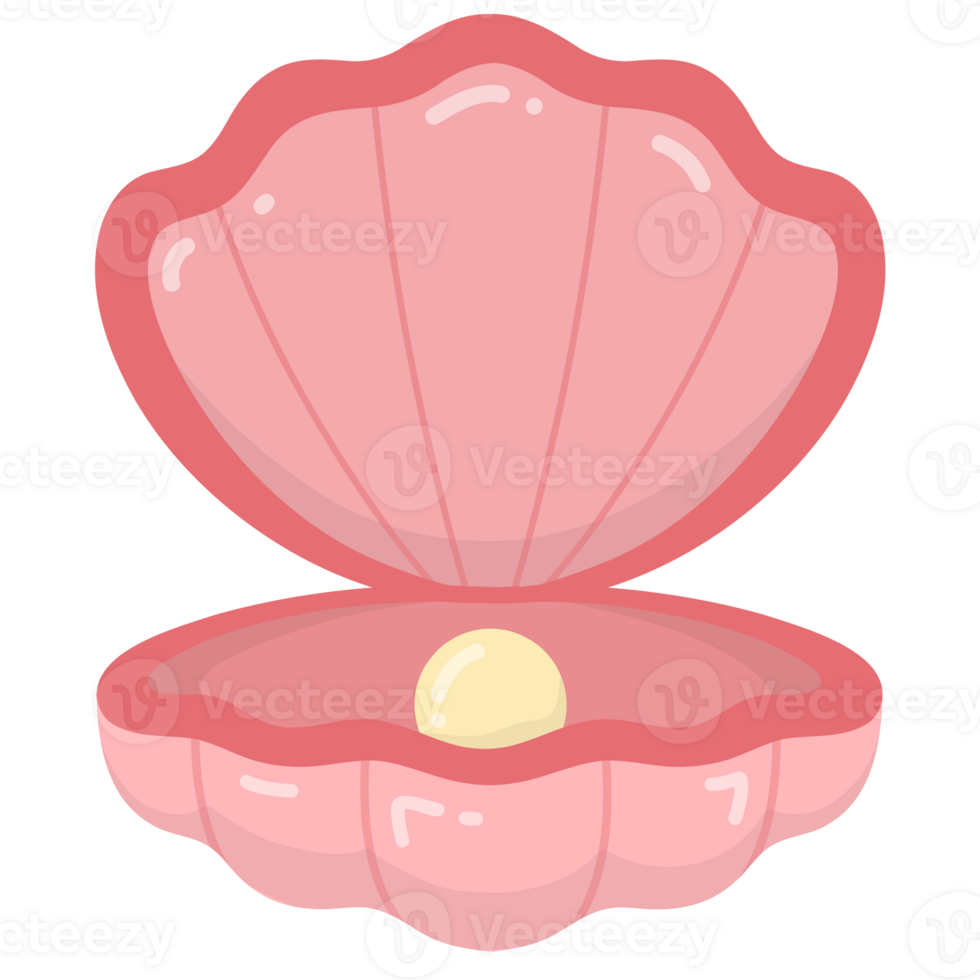 Color sea shell png