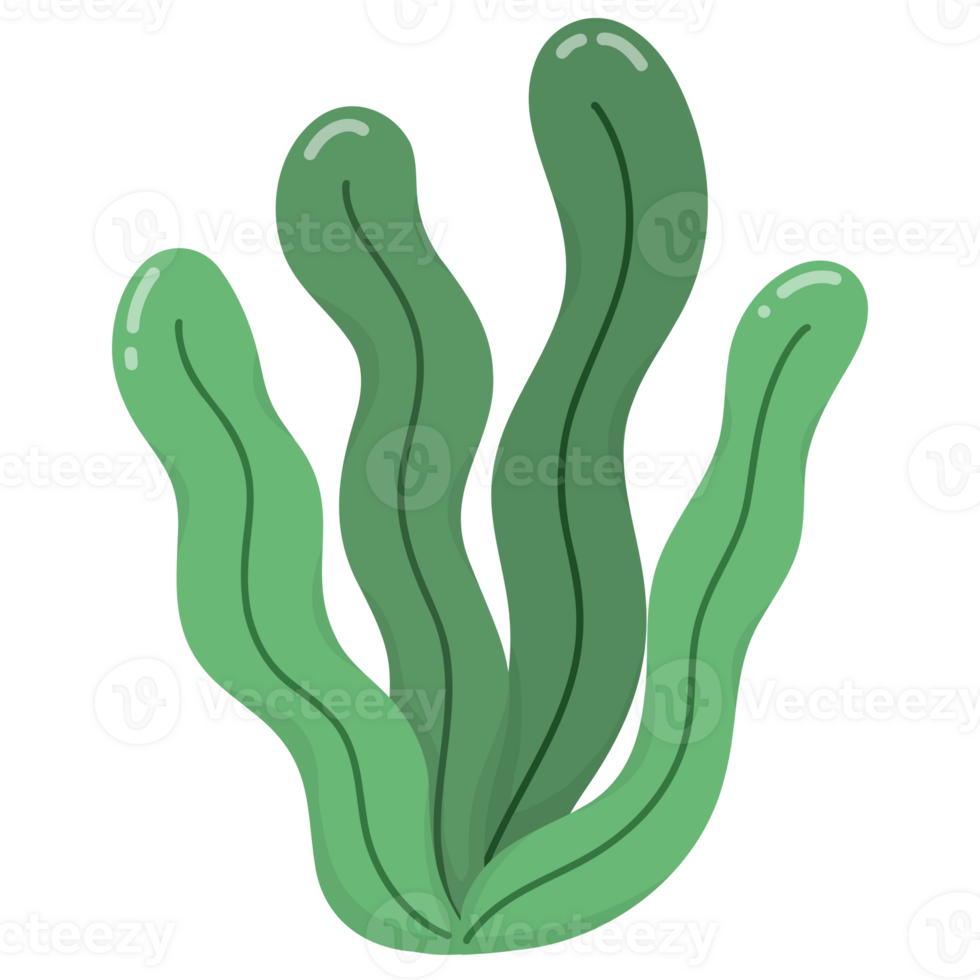 Under the sea seaweed png