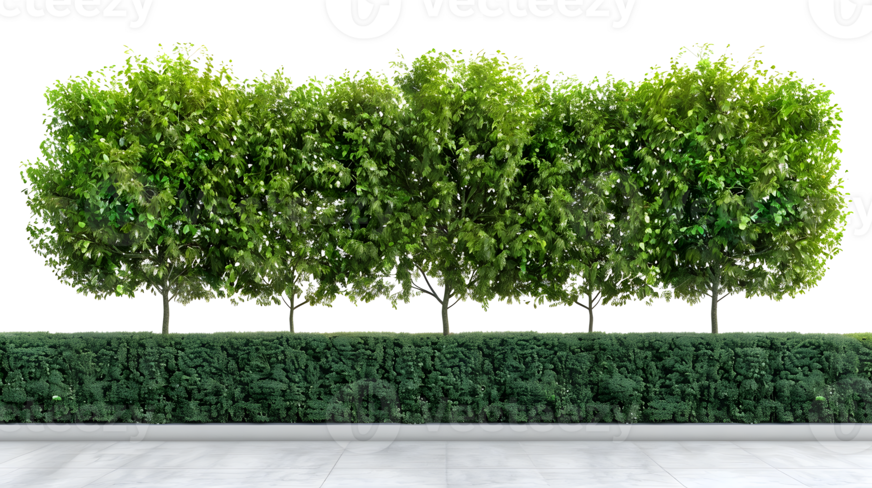 AI generated Green trees isolated on transparent background png