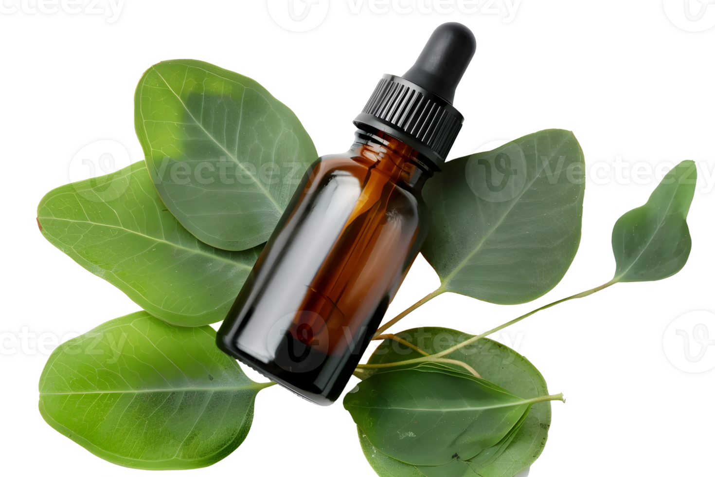 AI generated Essential oil bottle with green leaves PNG