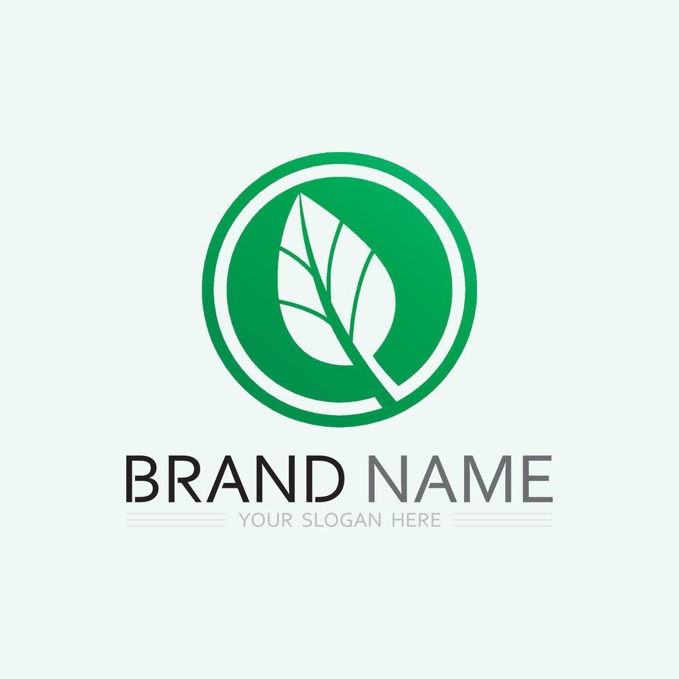 leaf logo design vector for nature symbol template editable,Green leaf logo ecology nature element vector icon.