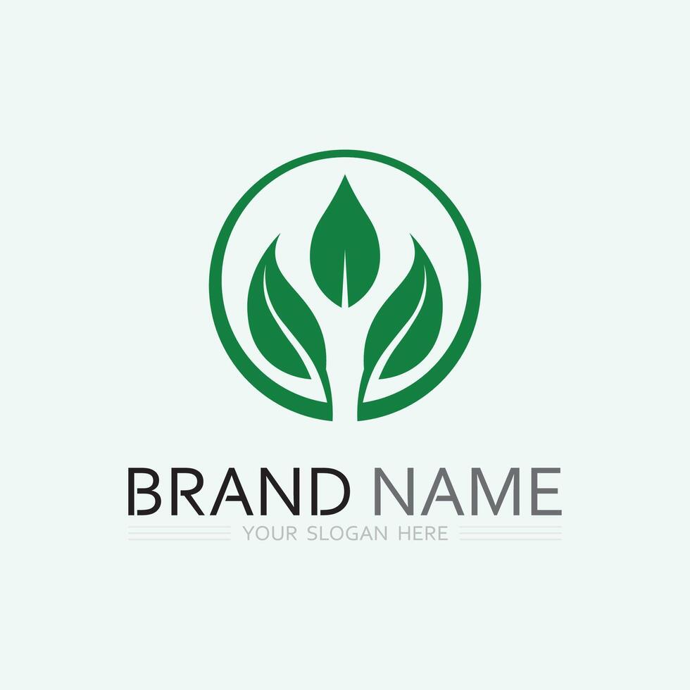 leaf logo design vector for nature symbol template editable,Green leaf logo ecology nature element vector icon.