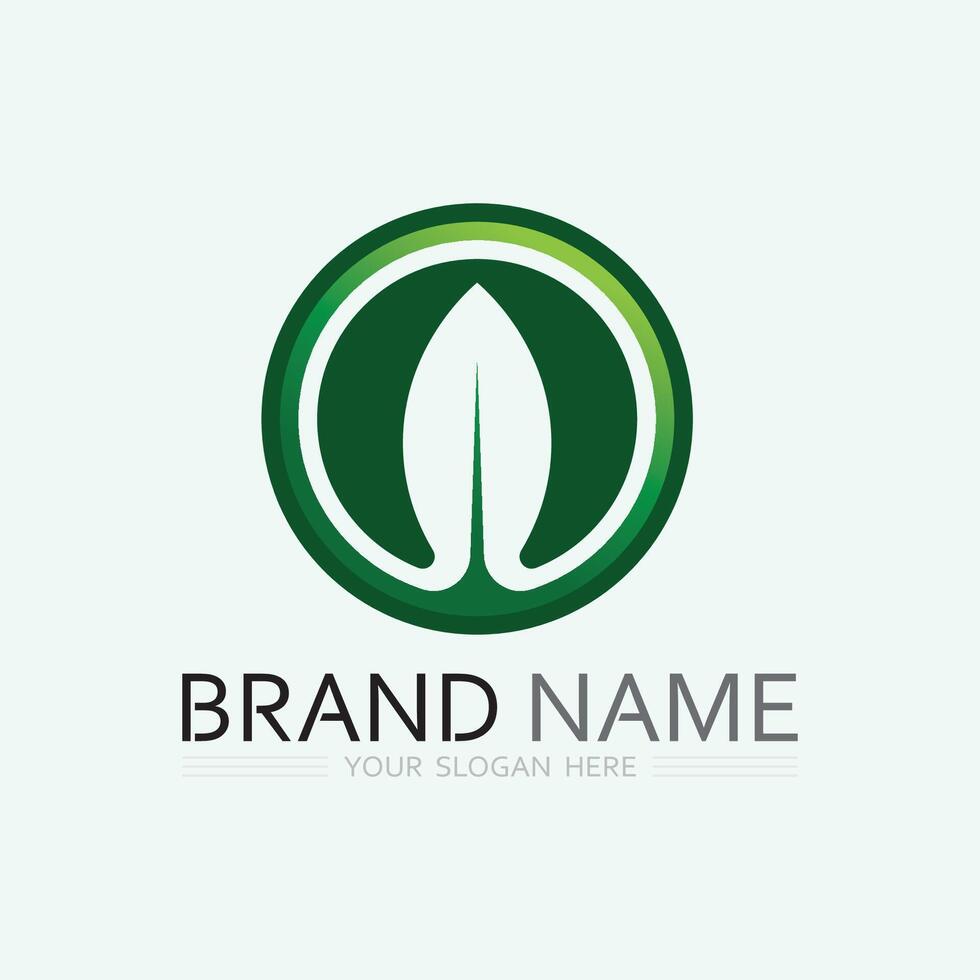 leaf logo design vector for nature symbol template editable,Green leaf logo ecology nature element vector icon.