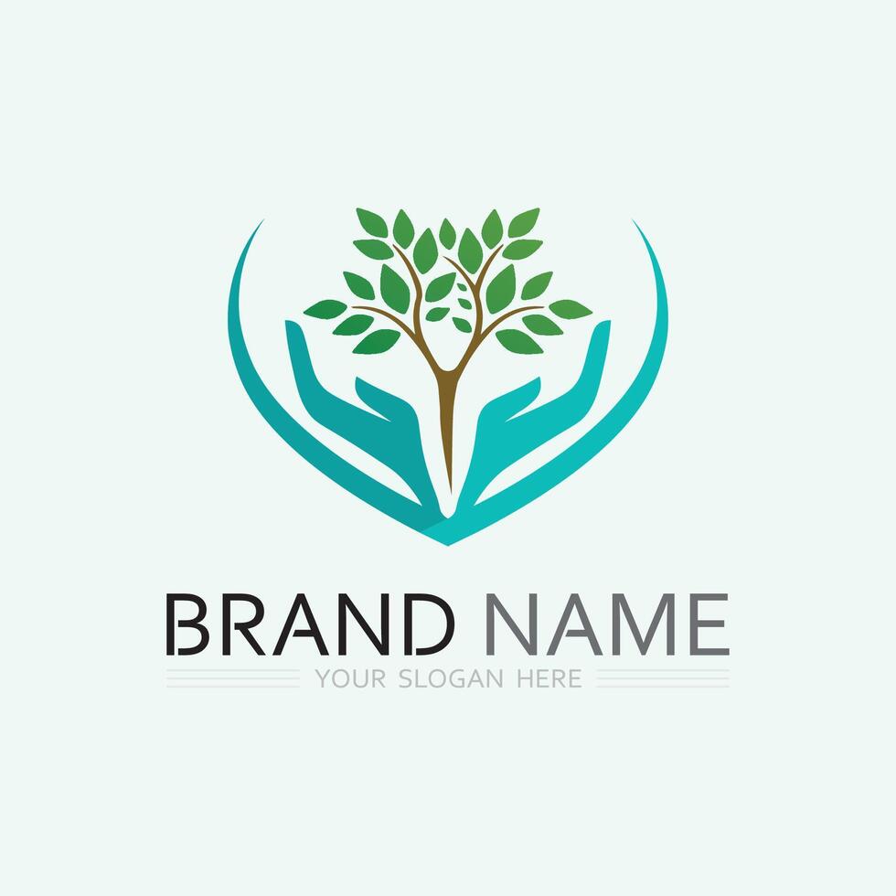 leaf logo design vector for nature symbol template editable,Green leaf logo ecology nature element vector icon.