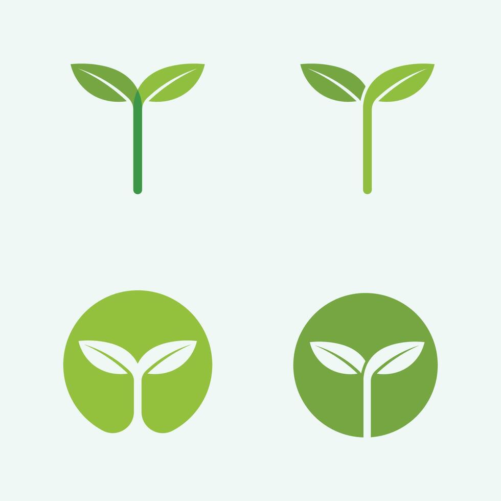 vector de diseño de logotipo de hoja para plantilla de símbolo de naturaleza editable, icono de vector de elemento de naturaleza de ecología de logotipo de hoja verde.