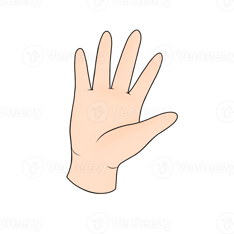 hand- lichaam een deel clip art png