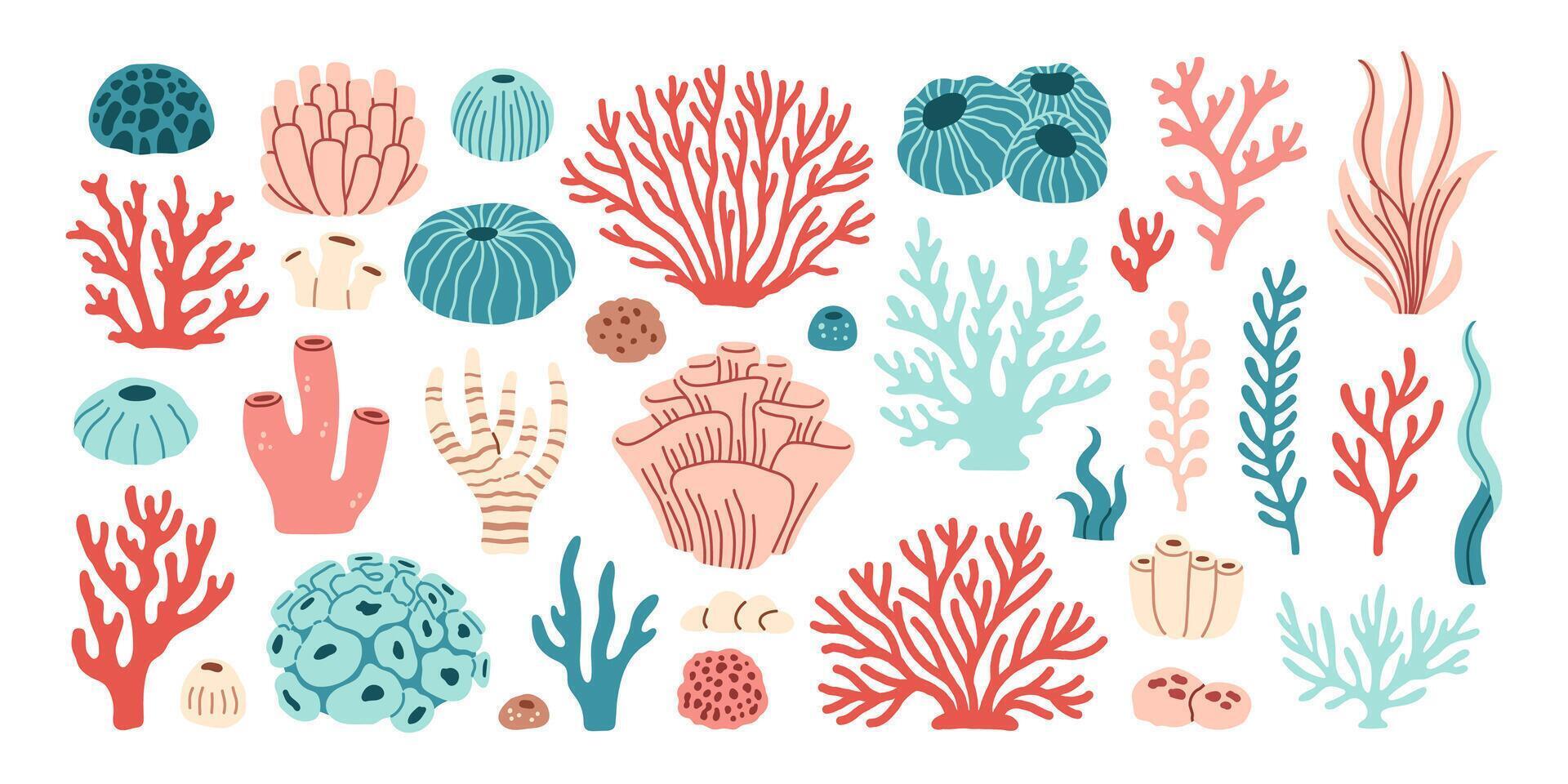 Ocean plants, underwater flora, seaweed, corals, kelp. Aquatic plant, coral, algae, kelp, tropical seabed elements vector set. Vector illustration