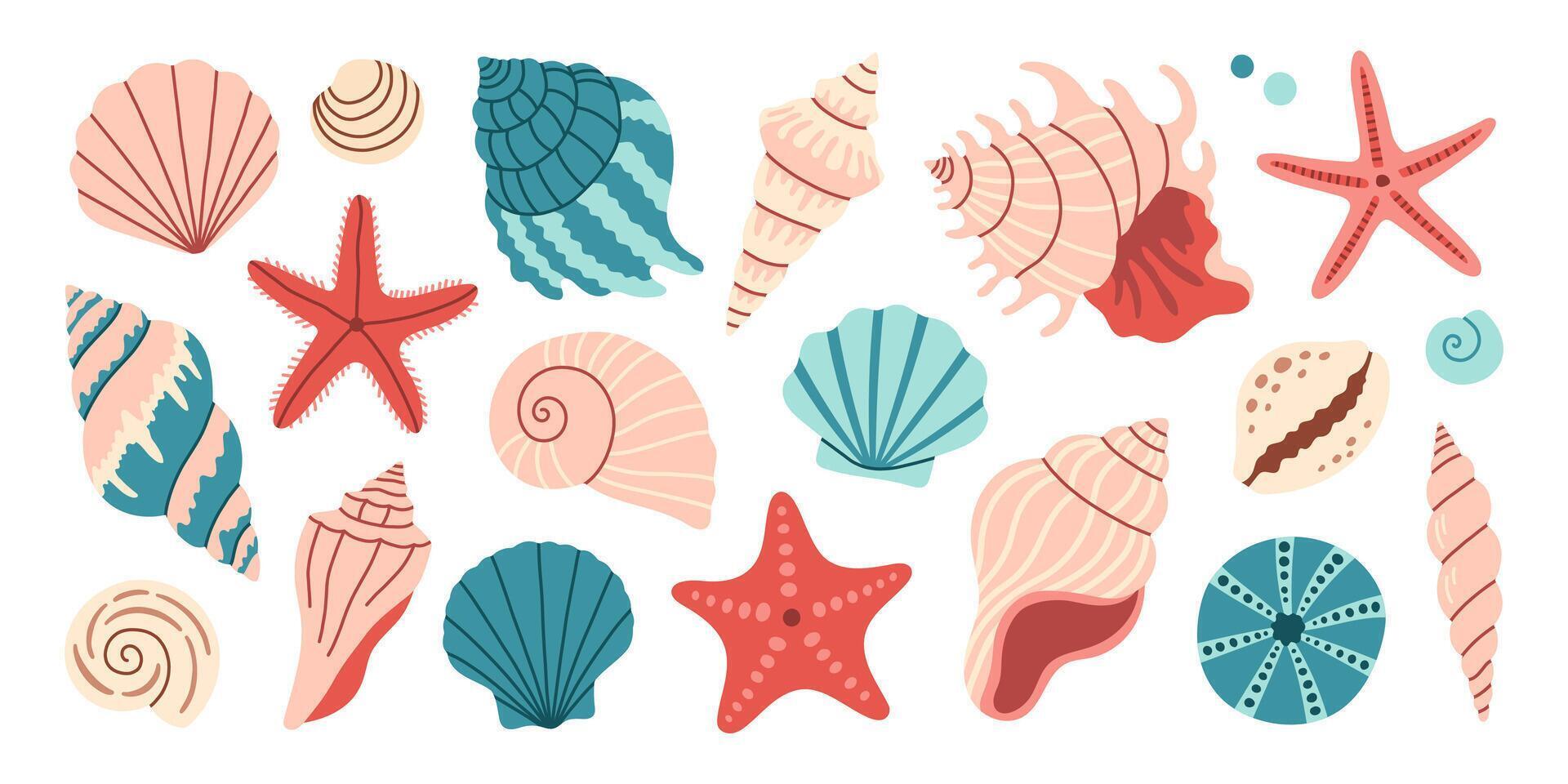 Sea shells set, mollusks, starfish. Trendy flat illustration of seashells collection isolated on white background for stickers, cards, scrapbooking vector