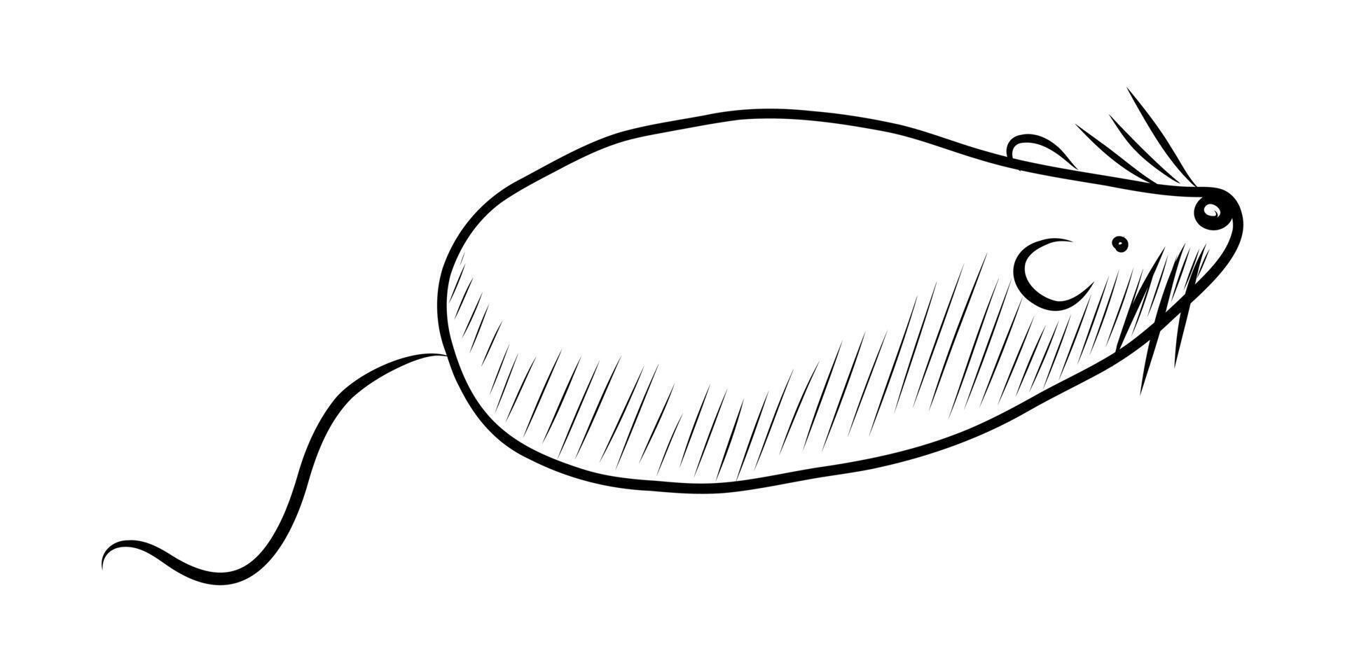 BLACK AND WHITE VECTOR DRAWING OF A TOY MOUSE FOR PETS