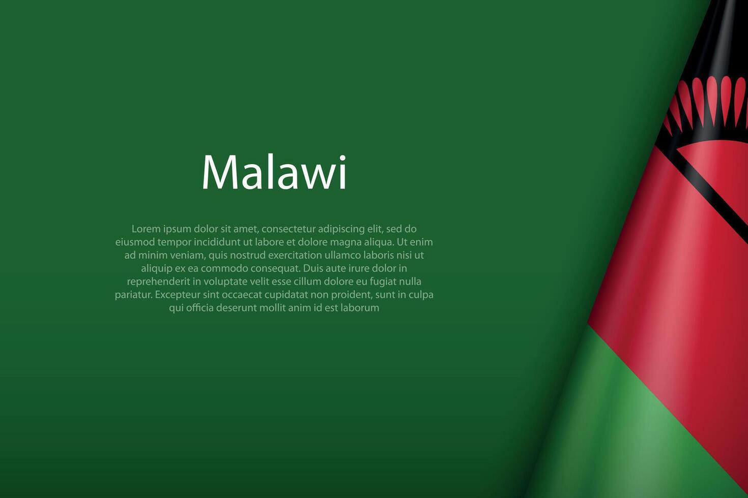 Malawi national flag isolated on background with copyspace vector