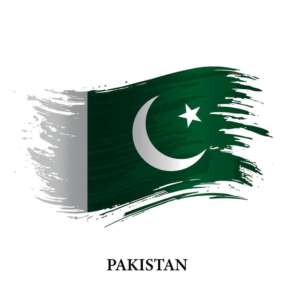 grunge bandera de Pakistán, cepillo carrera antecedentes vector