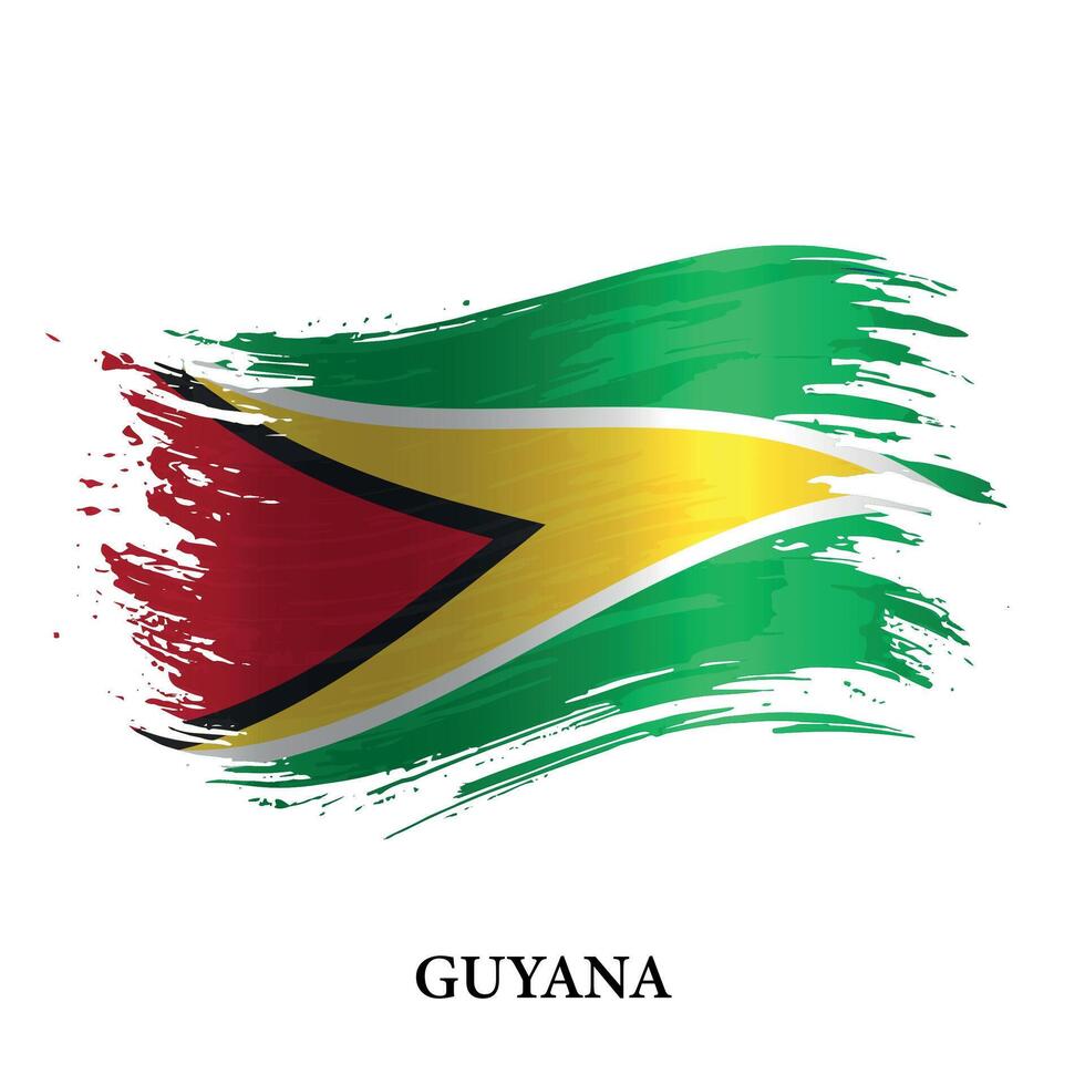 Grunge flag of Guyana, brush stroke vector