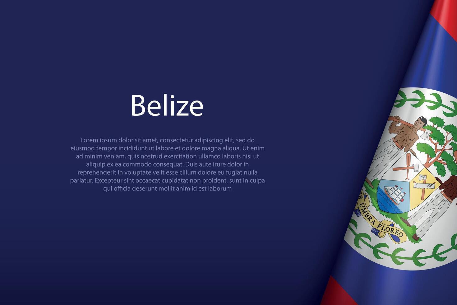 Belize national flag isolated on background with copyspace vector