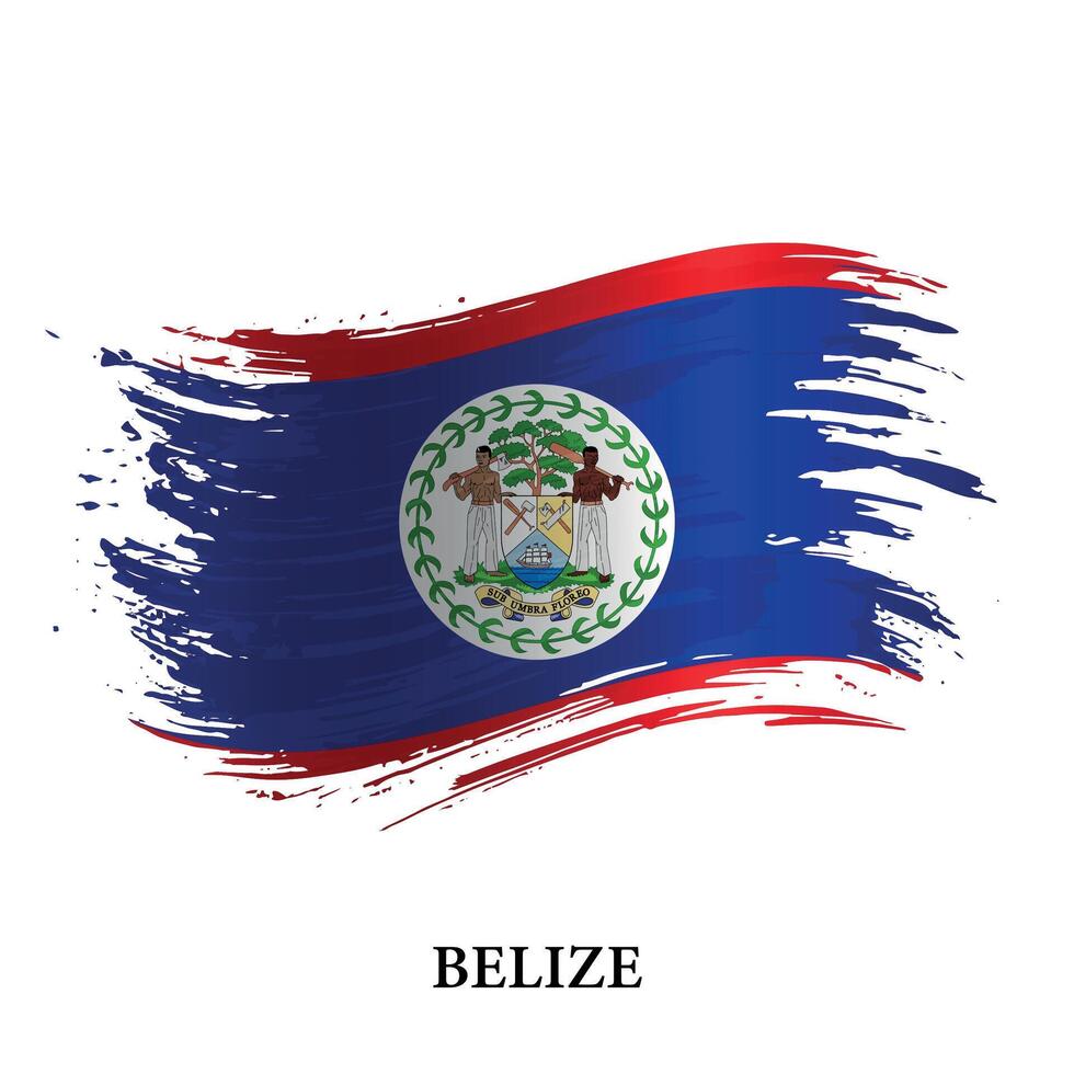 grunge bandera de belice, cepillo carrera vector