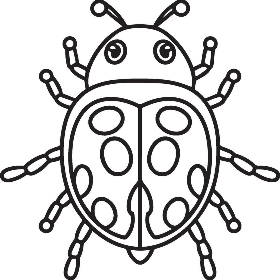 Lady bug coloring pages for coloring book. Bug coloring pages. Lady bug outline vector