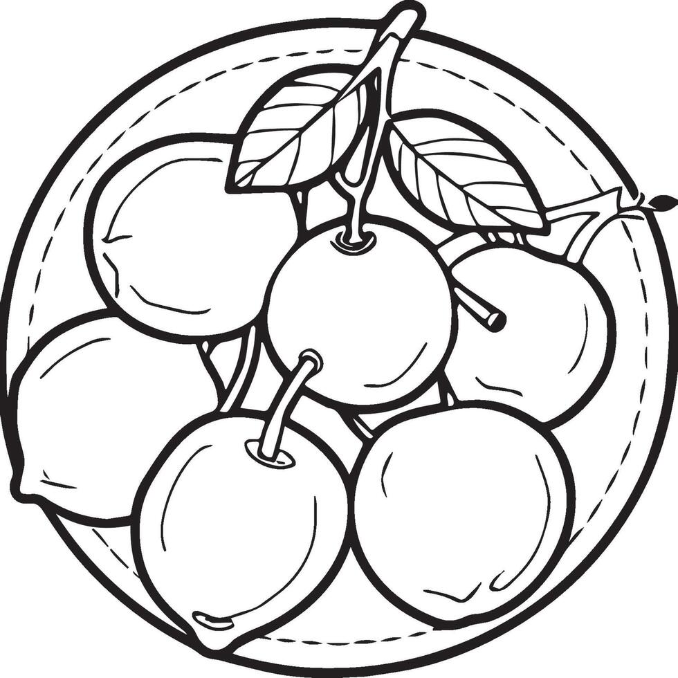 Fruits coloring pages for coloring book. Fruits outline vector