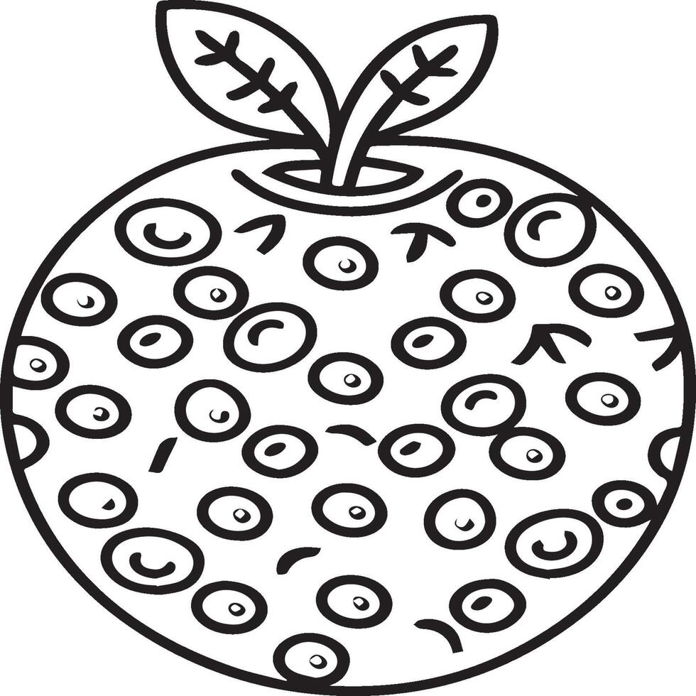 Fruits coloring pages for coloring book. Fruits outline vector