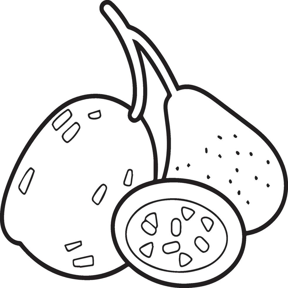 Fruits coloring pages for coloring book. Fruits outline vector