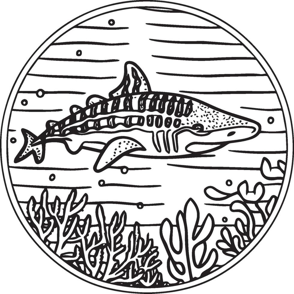 Whale Shark coloring pages. Whale Shark outline for coloring book vector