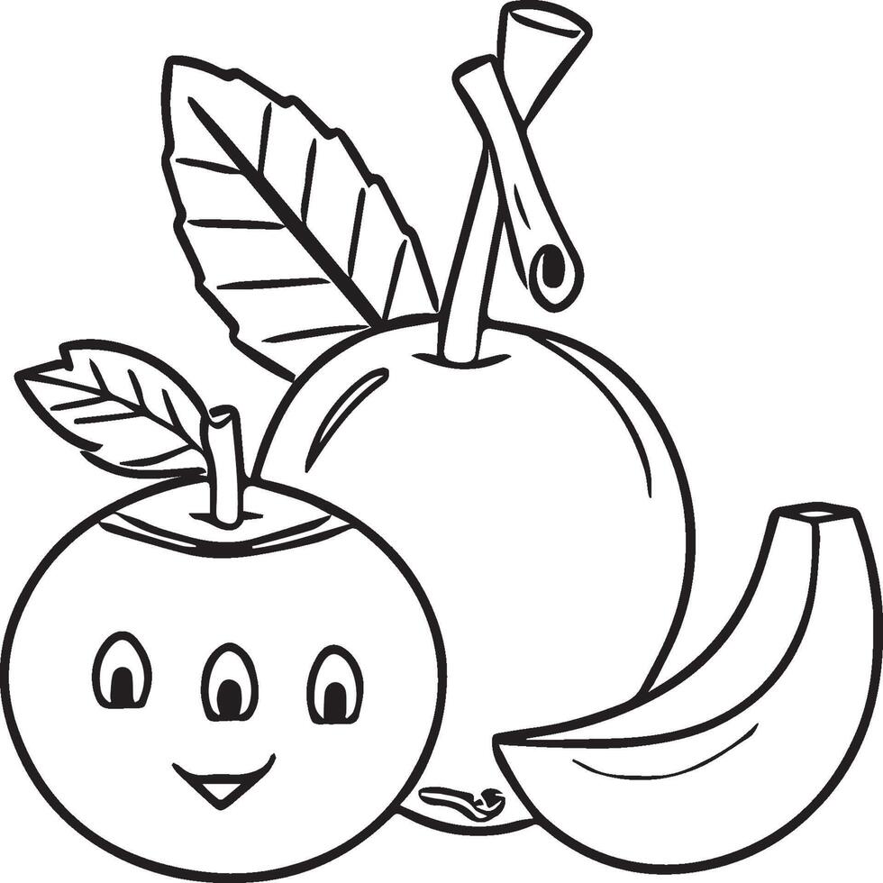 Fruits coloring pages for coloring book. Fruits outline vector