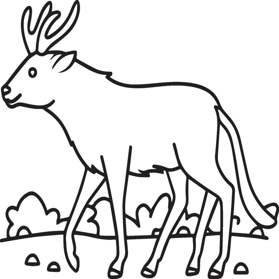 Wild animals coloring pages for coloring book. Wild animal outline vector. vector
