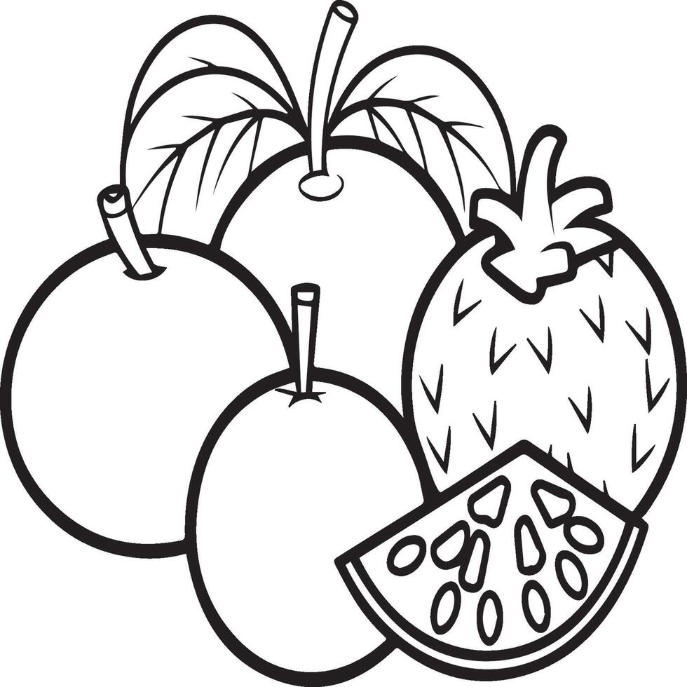 Fruits coloring pages for coloring book. Fruits outline vector