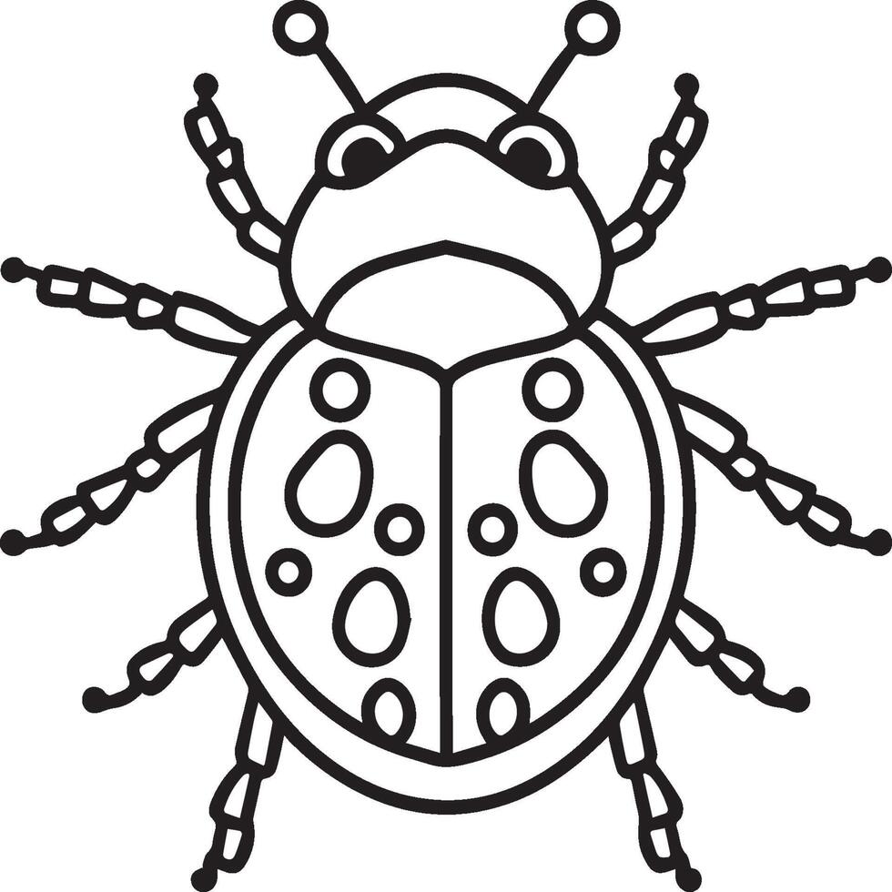 Lady bug coloring pages for coloring book. Bug coloring pages. Lady bug outline vector