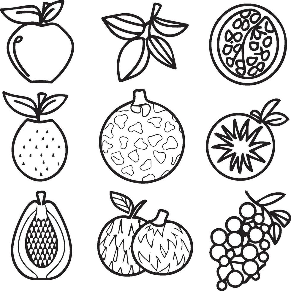 Fruits coloring pages for coloring book. Fruits outline vector