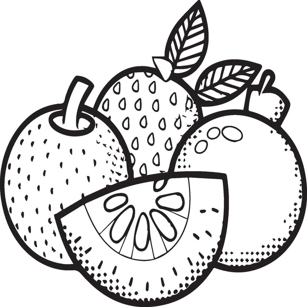 Fruits coloring pages for coloring book. Fruits outline vector