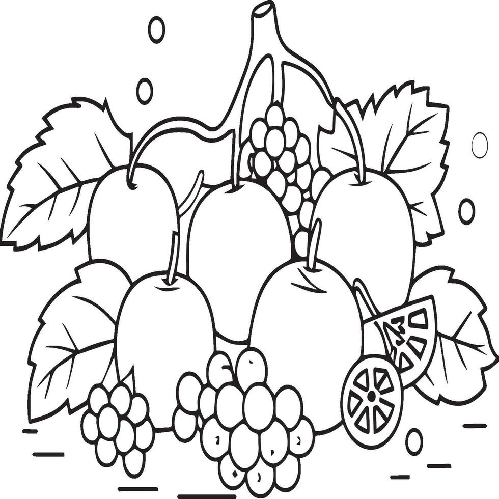 Fruits coloring pages for coloring book. Fruits outline vector