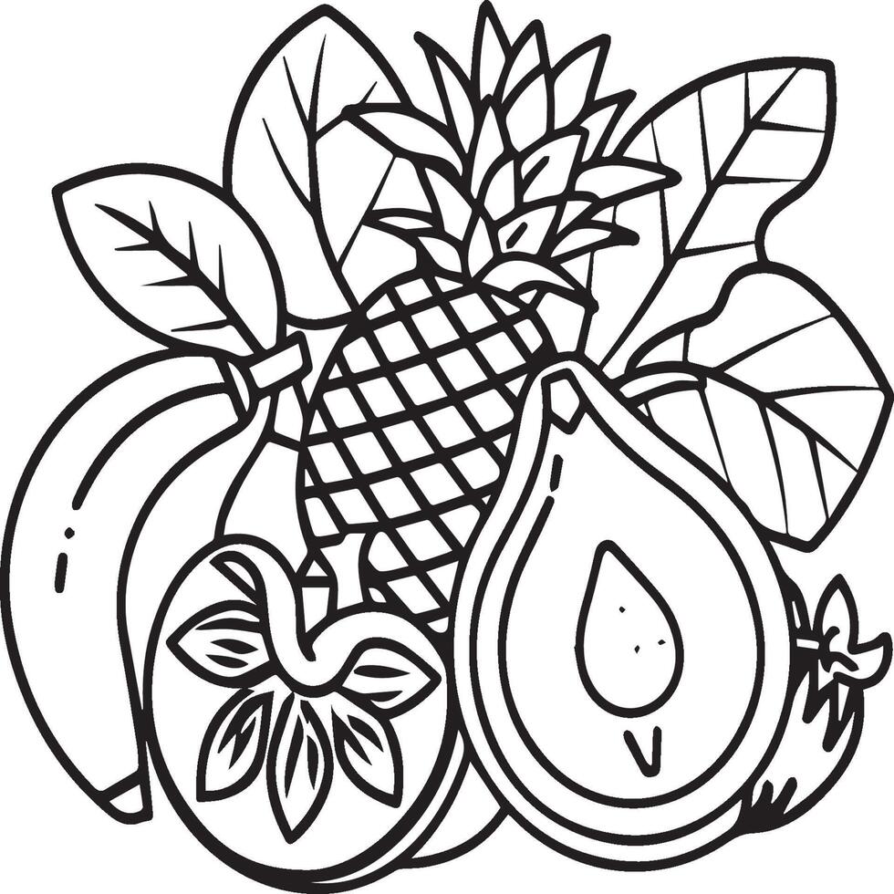Fruits coloring pages for coloring book. Fruits outline vector