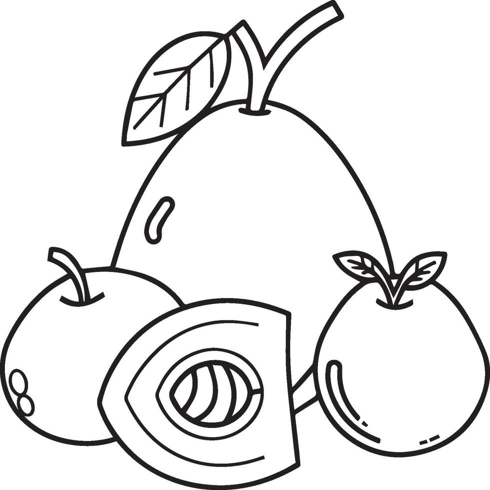 Fruits coloring pages for coloring book. Fruits outline vector