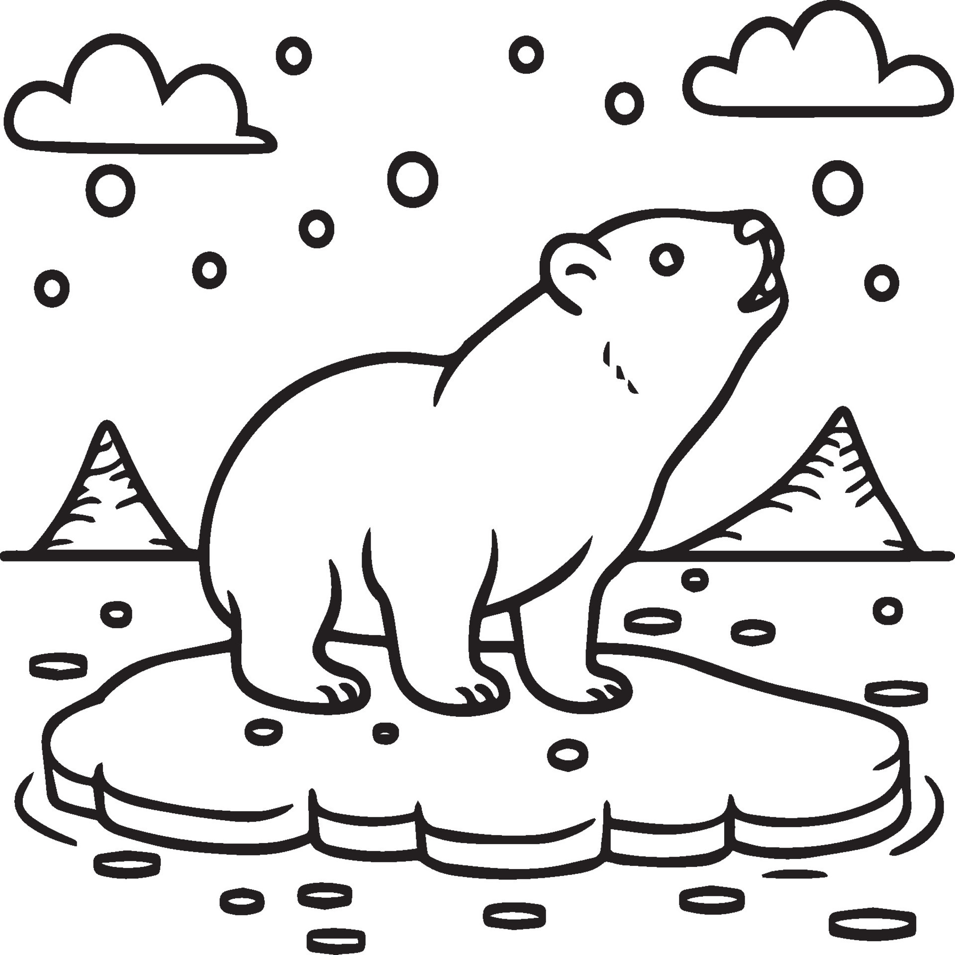 Polar Animals Coloring pages. Animals coloring pages. Polar animal