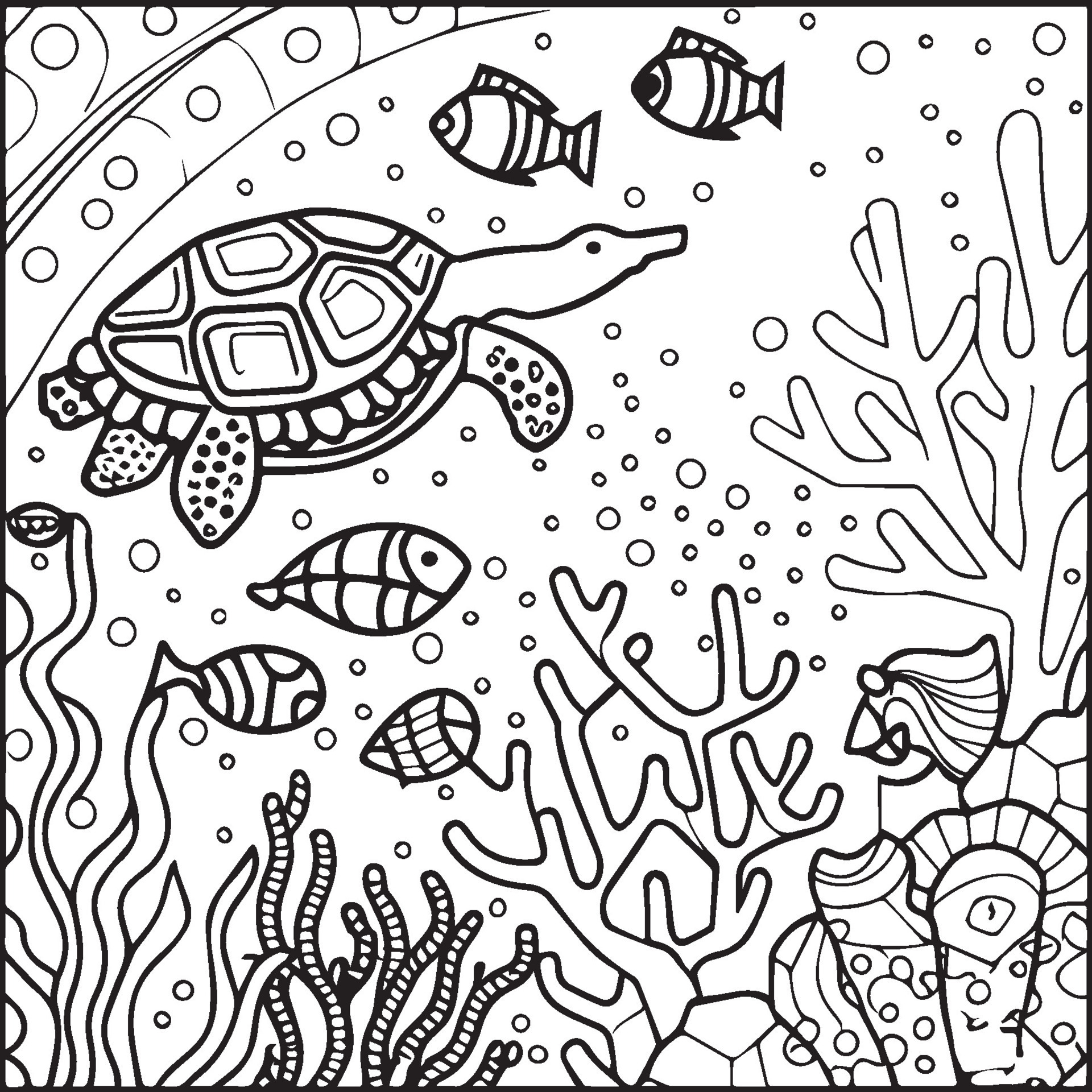 Sea life coloring pages for coloring book. Sea life outline vector