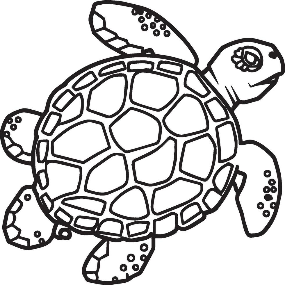 Sea Turtle coloring pages. Sea Turtle outline for coloring book vector